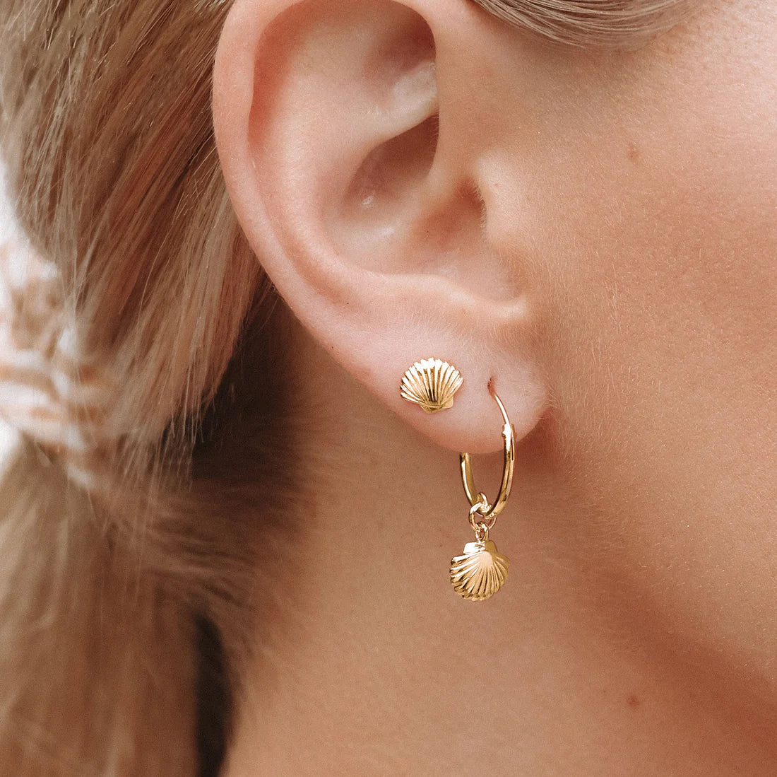 Dainty Seashell Studs in Gold