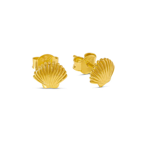 Dainty Seashell Studs in Gold